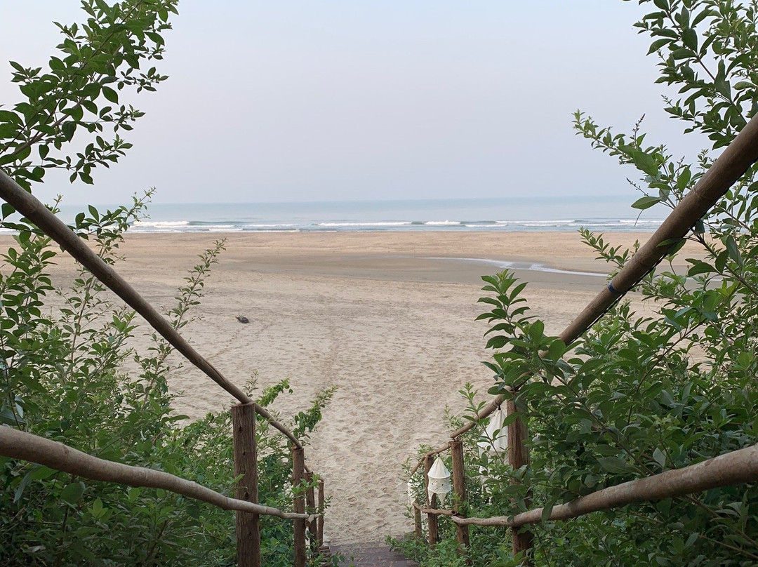 Mandrem Beach景点图片