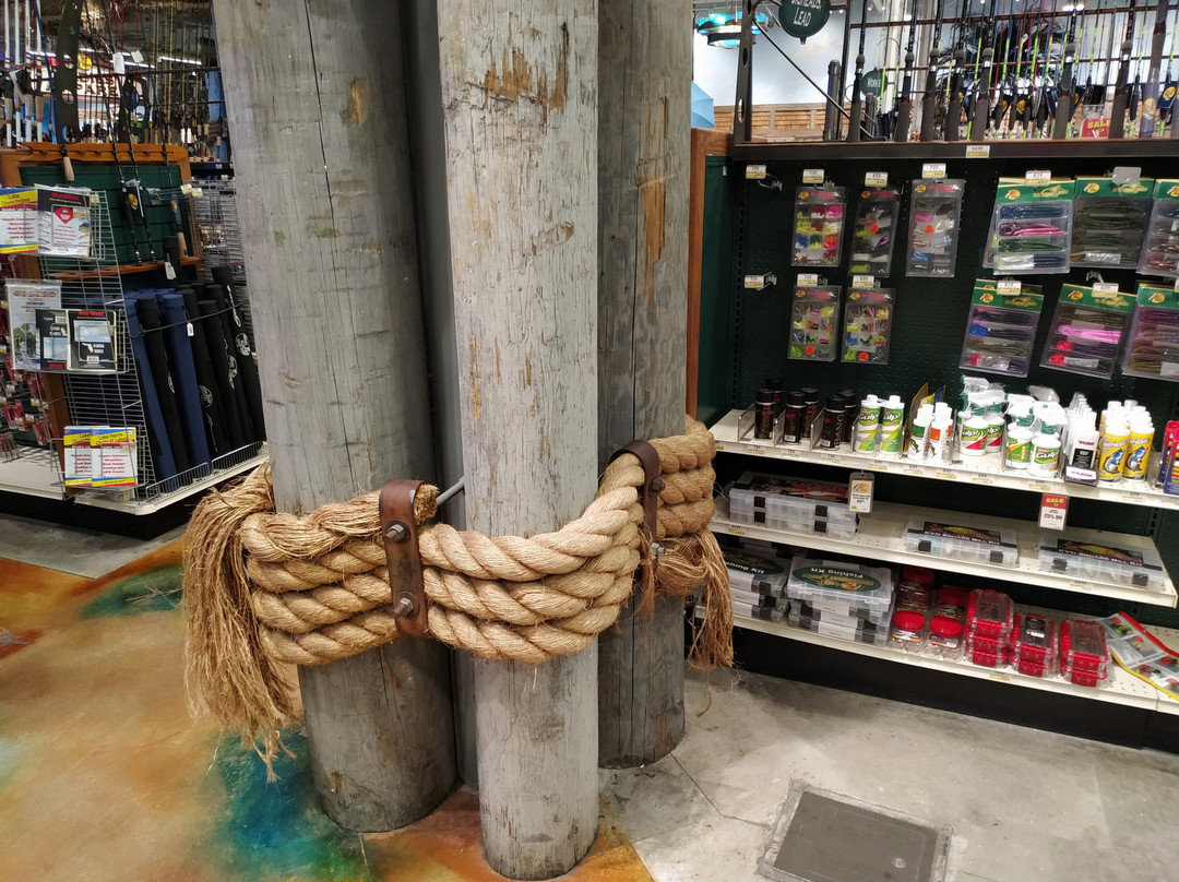 Bass Pro Shops-达尼亚滩必去景点