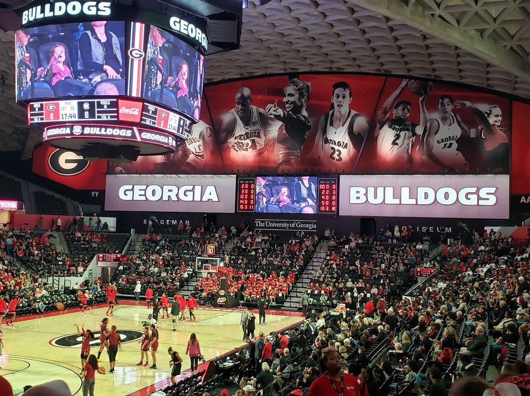Stegeman Coliseum-阿森斯必去景点
