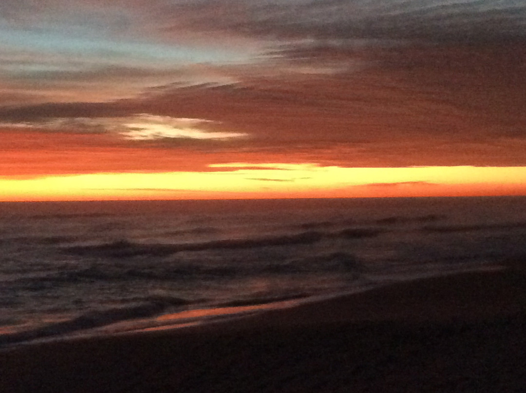 Whale Watch Motel主图