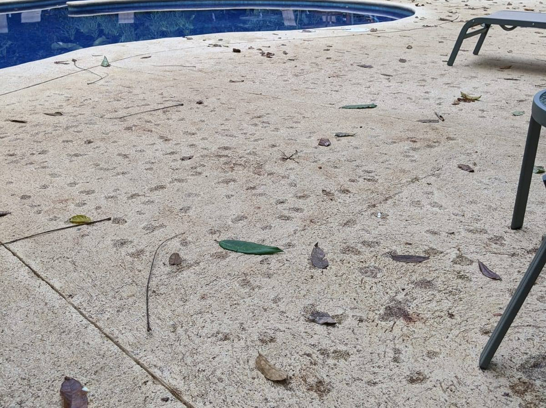 Selva Verde Lodge主图