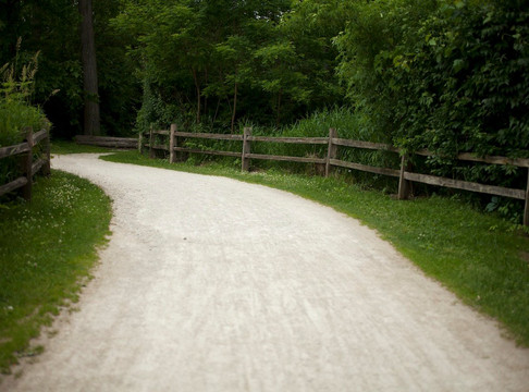 Lincoln Marsh Nature Preserve-Wheaton必去景点