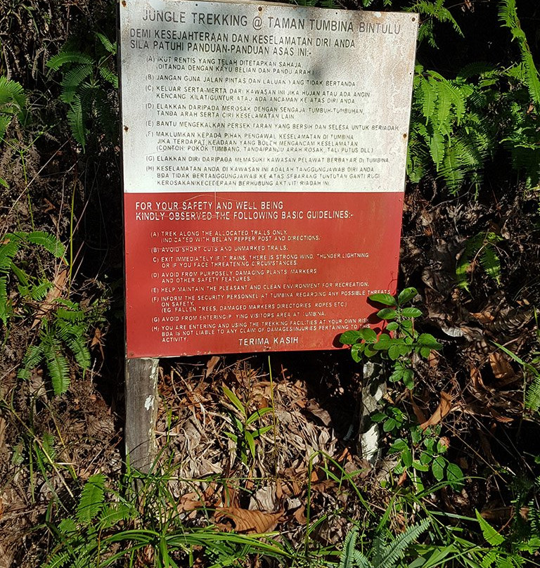 Jungle Trekking Taman Tumbina Bintulu-宾图卢必去景点