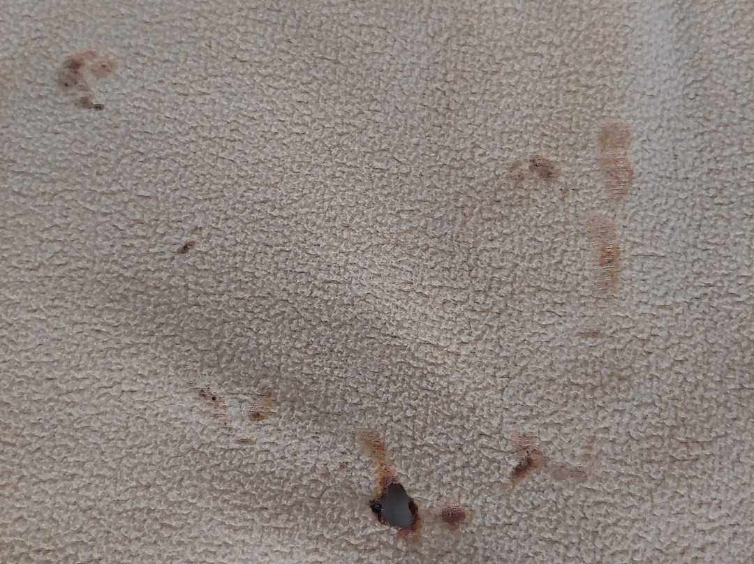 Super 8 by Wyndham Tupelo Airport主图