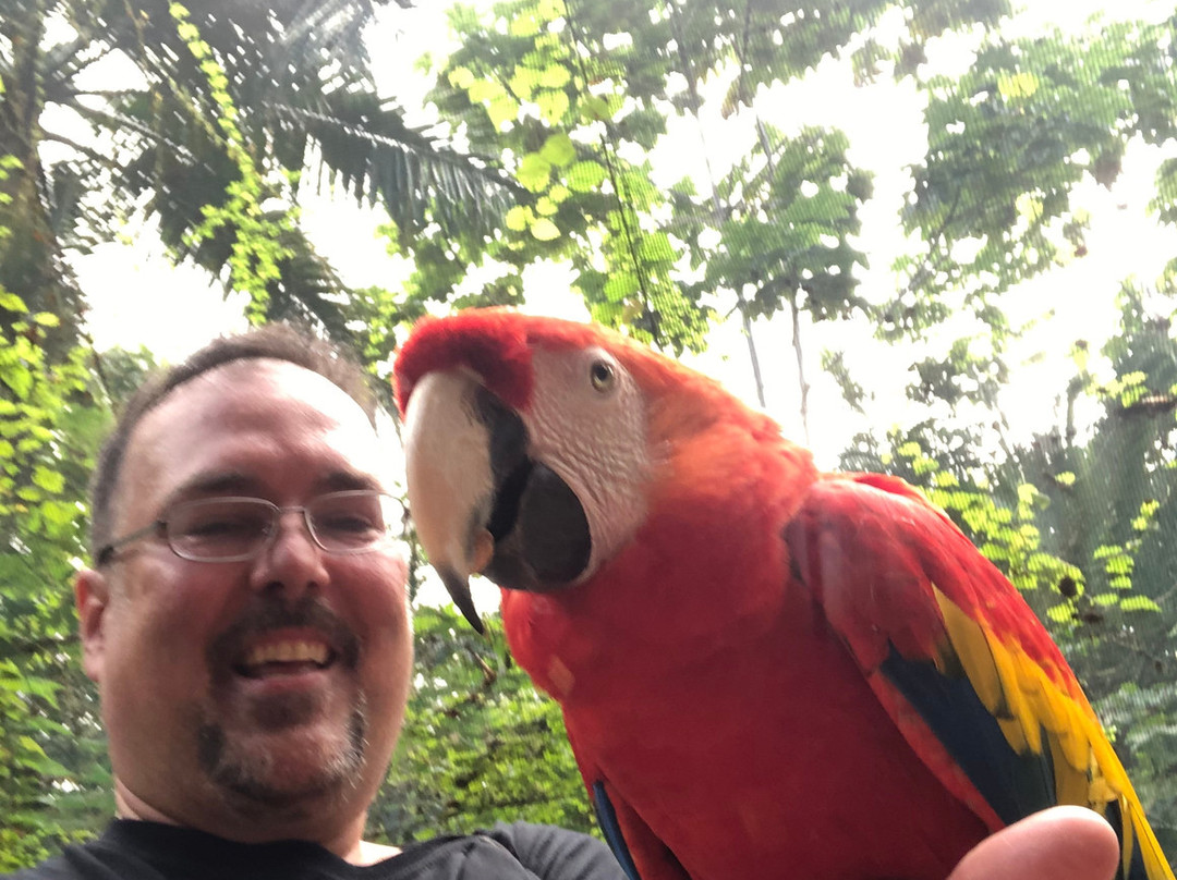 Turtle River Falls and Gardens-Saint Ann Parish必去景点