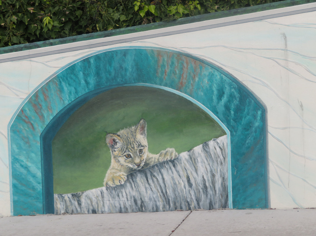 Mural Arts Program of Hayward-海沃德必去景点