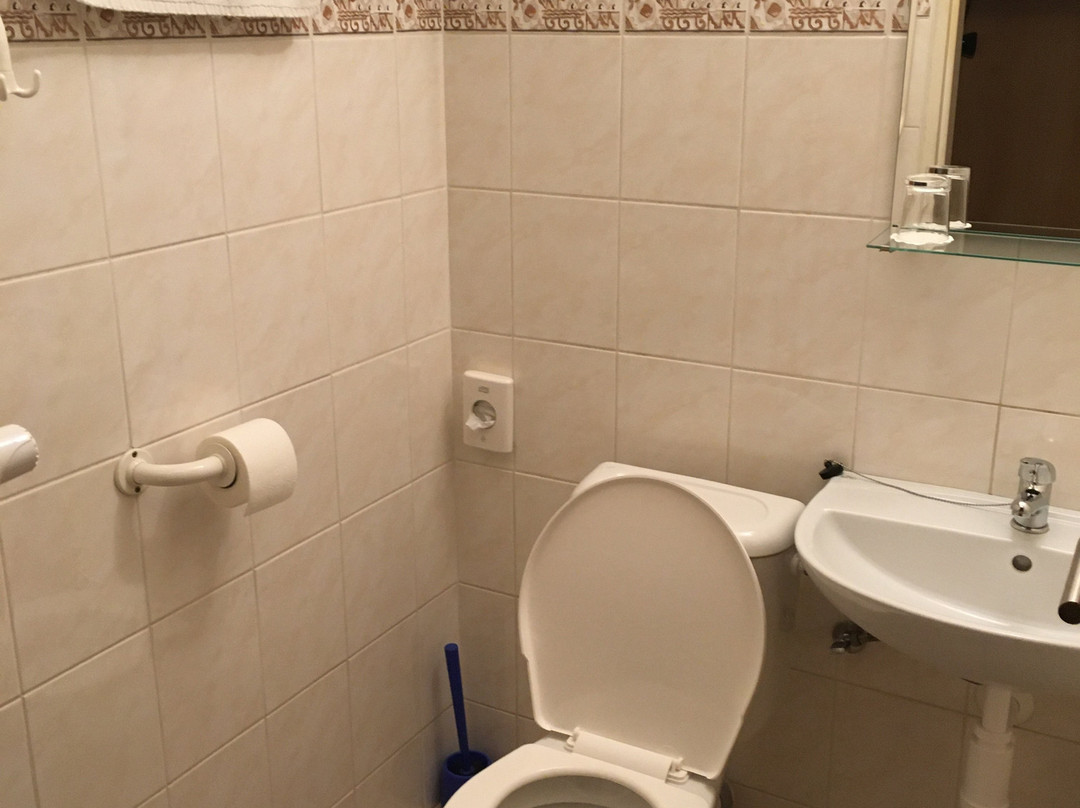 Hotel Veronika主图