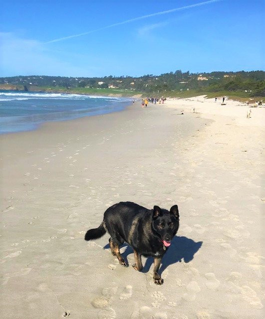 Carmel Beach景点图片