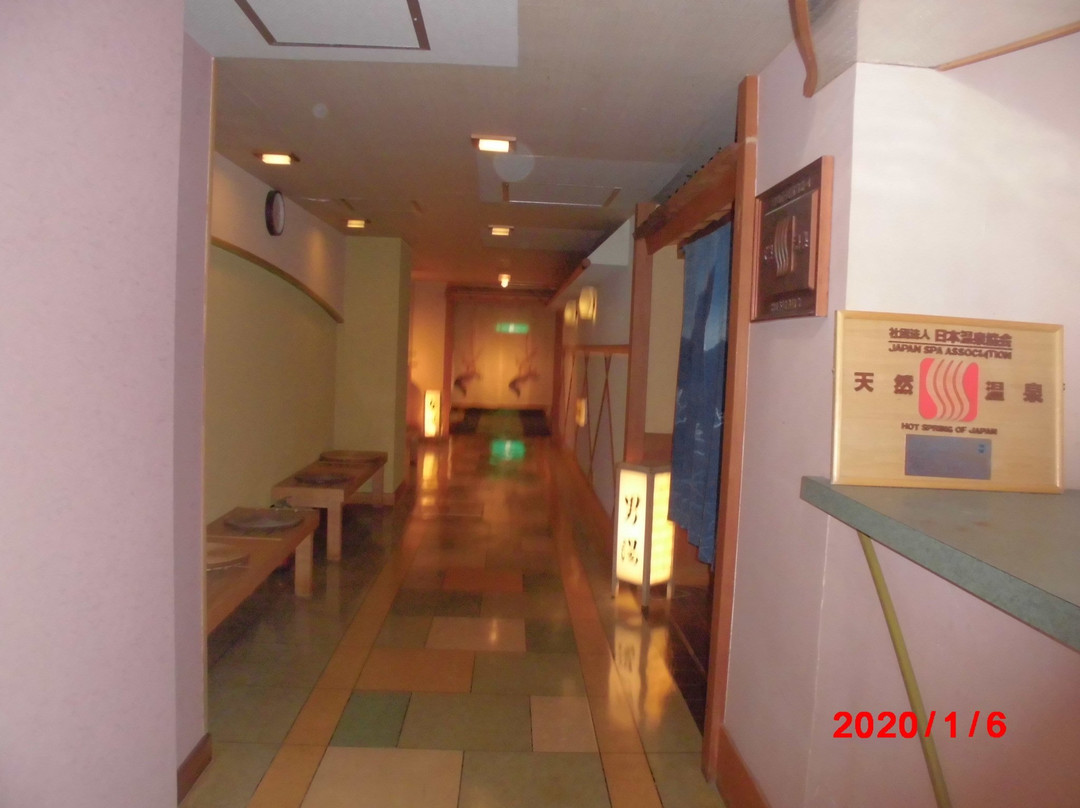 Unzen Shinyu Hotel主图