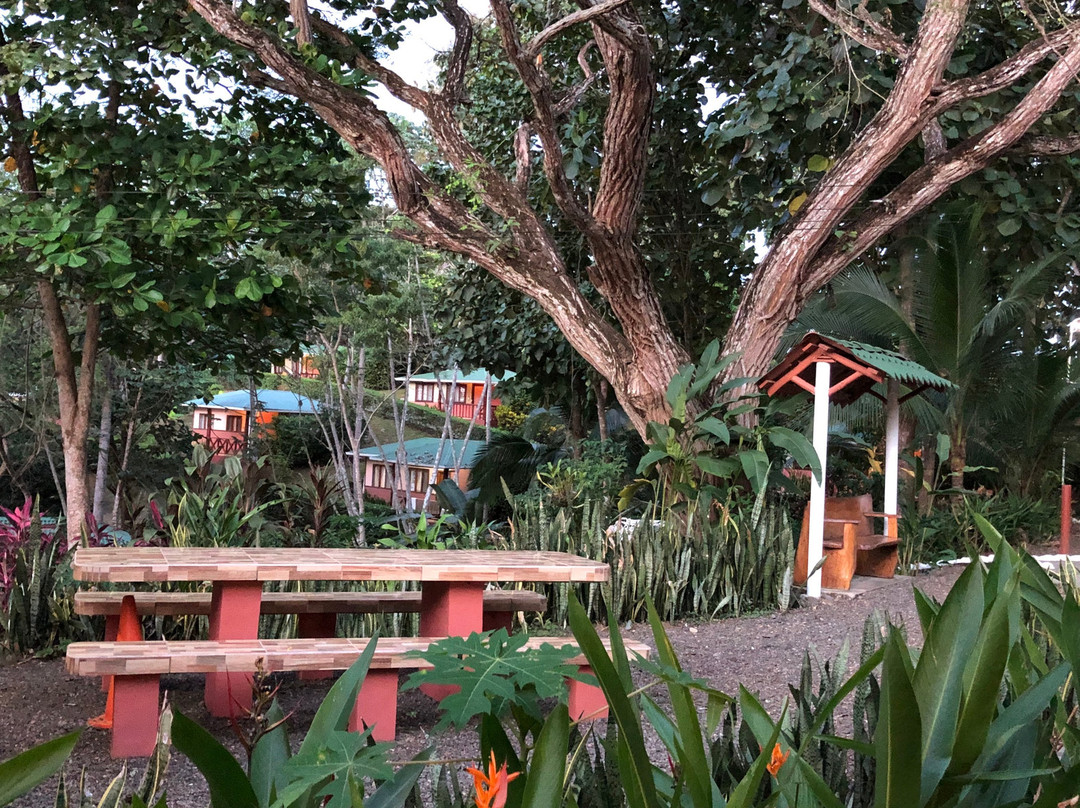 Hotel Cerro Lodge主图