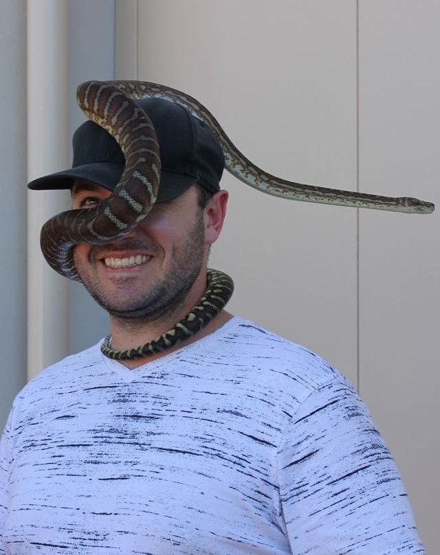 Red Desert Reptiles景点图片