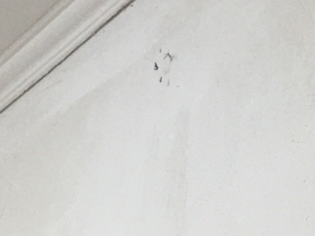 Termas Concepcion主图