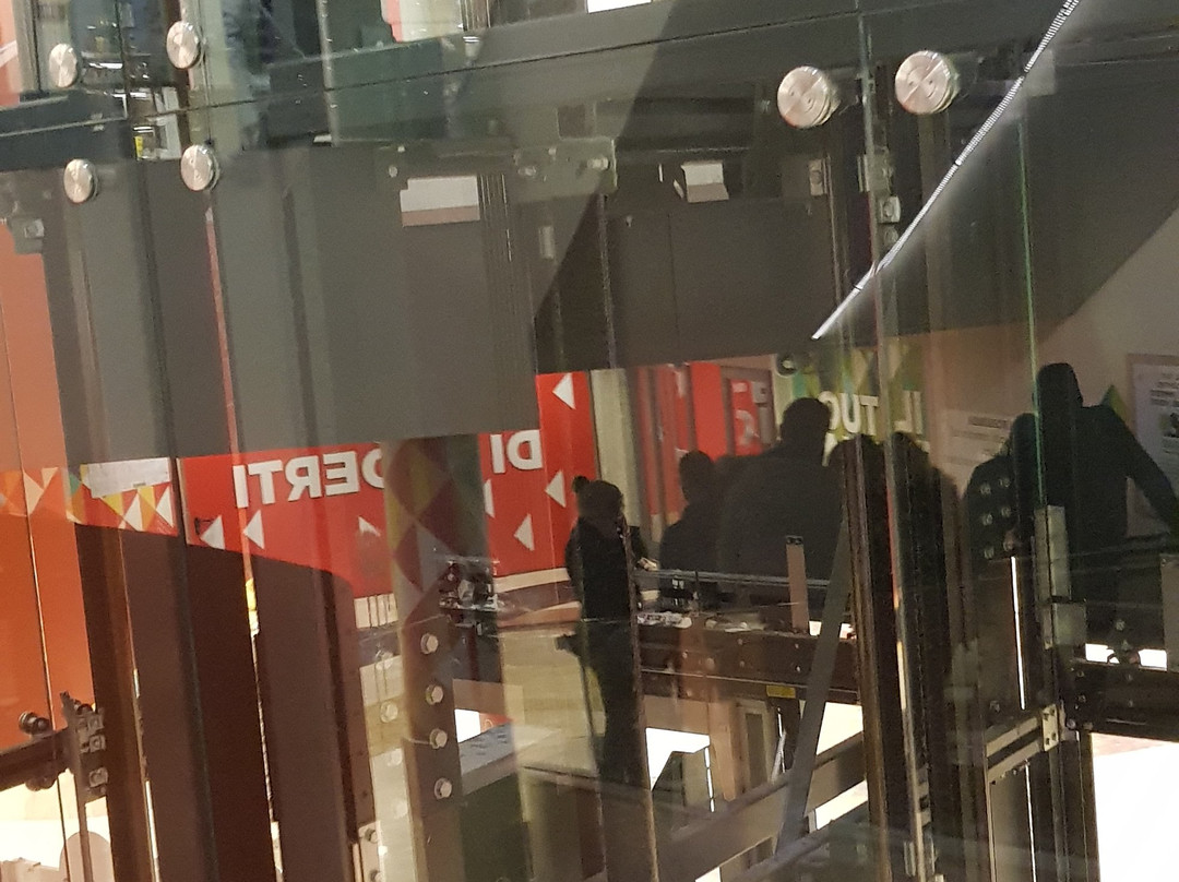 Galleria Borromea景点图片