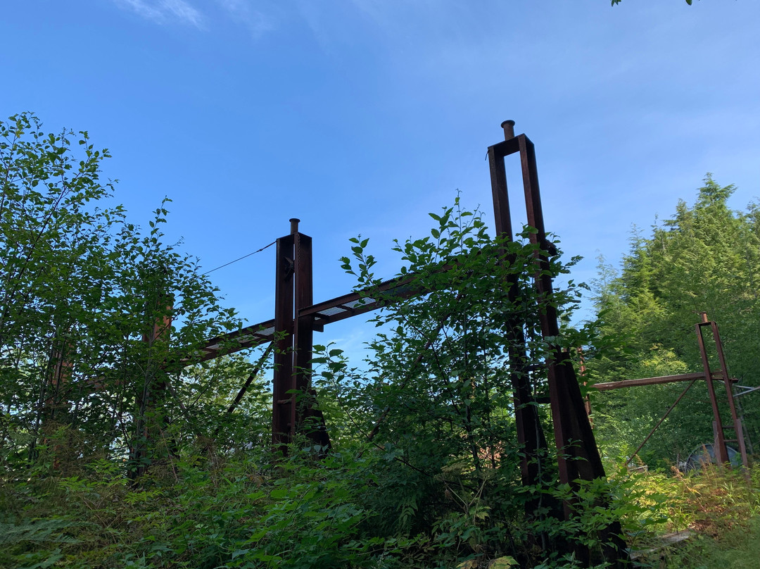 Rushbrook Trail景点图片