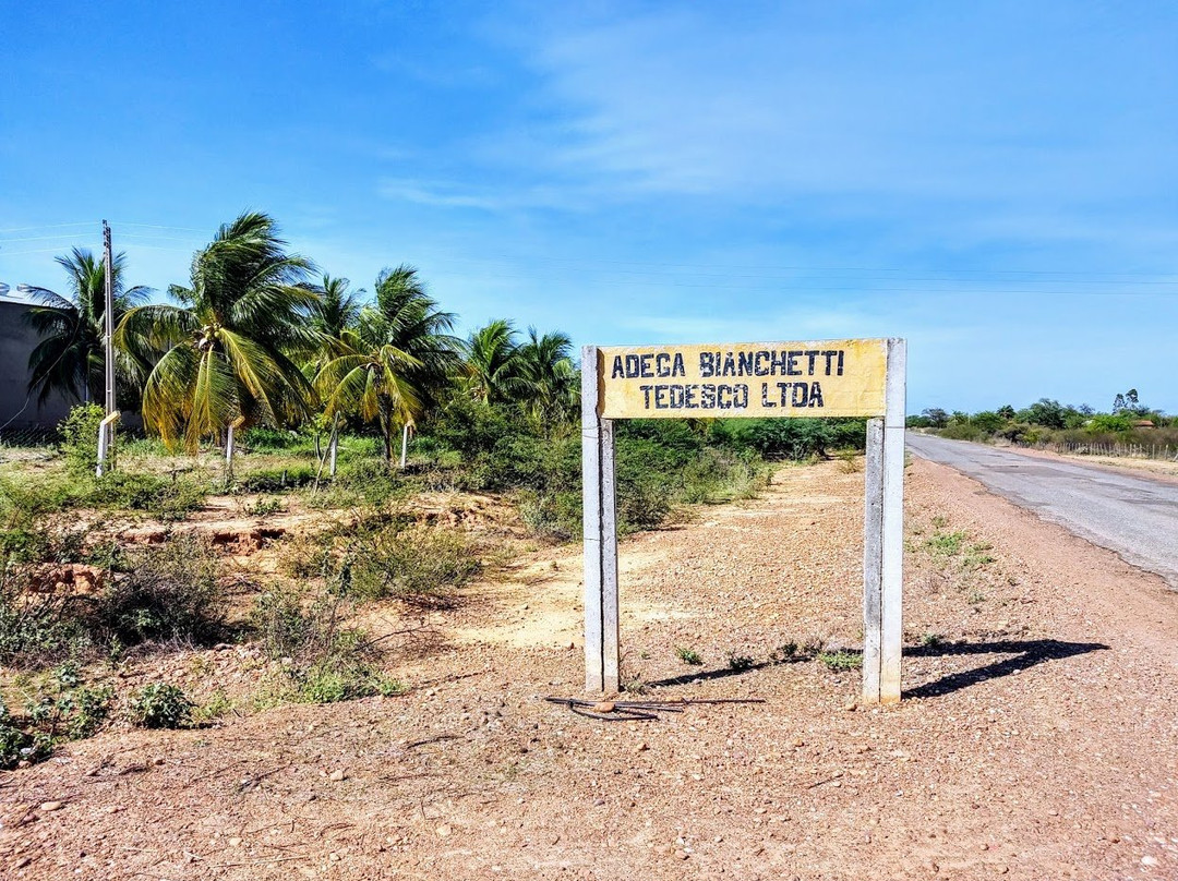 Vinicola Bianchetti & Tedesco-Lagoa Grande必去景点