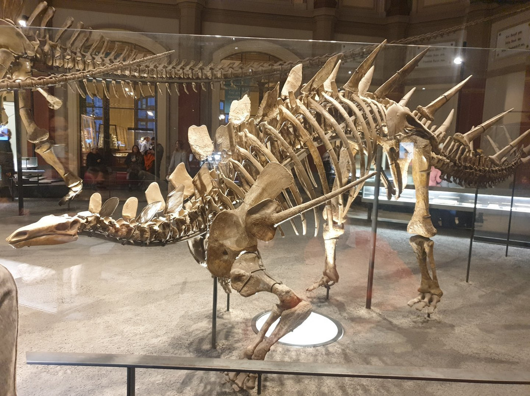 Naturkundemuseum Potsdam-波茨坦必去景点