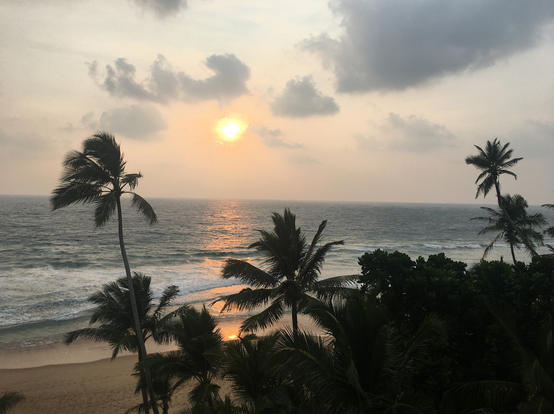 Riff Hikkaduwa主图