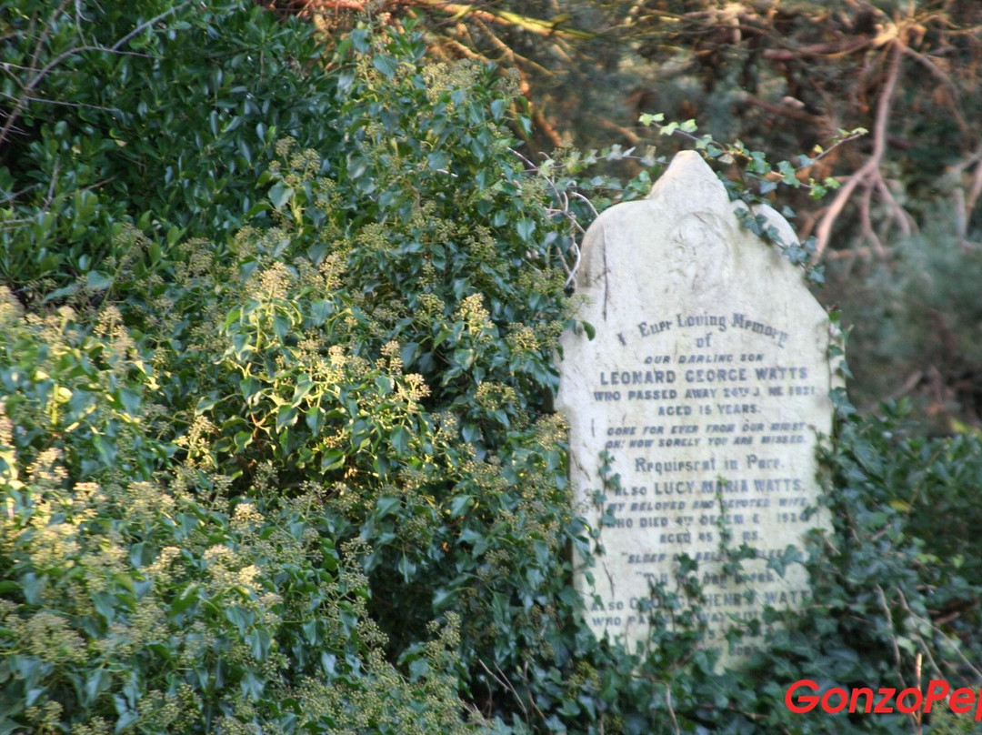 汉姆东自然保护区-伦敦必去景点