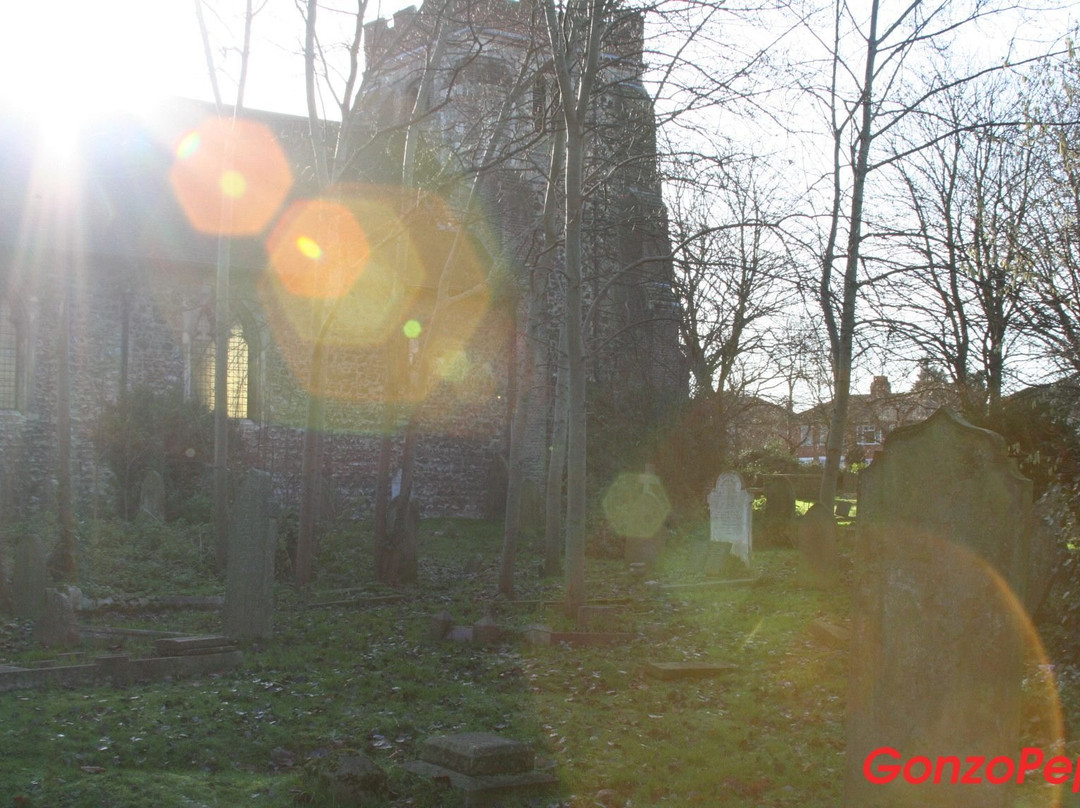 汉姆东自然保护区-伦敦必去景点