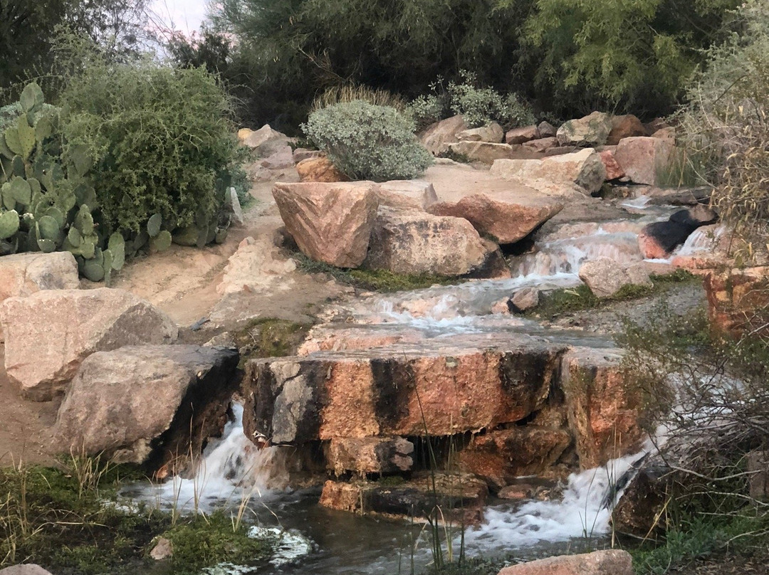 Veterans Oasis Park-钱德勒必去景点