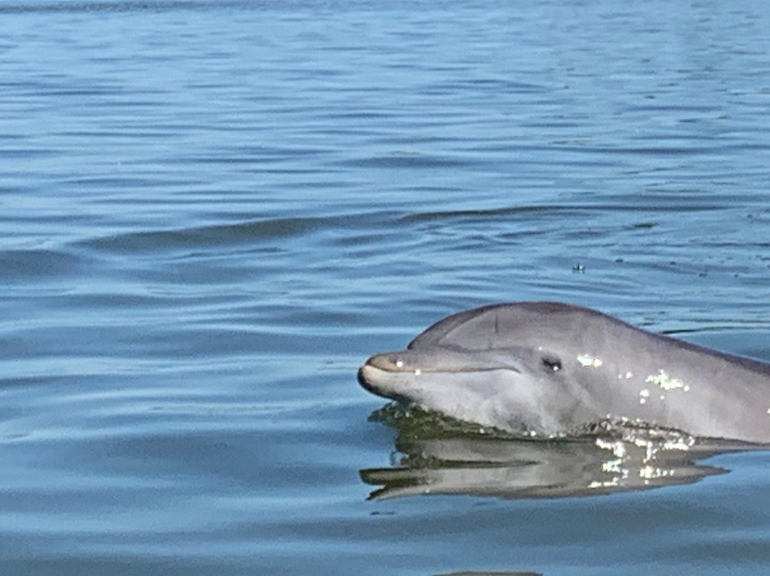 Backwater Adventure-Goodland必去景点