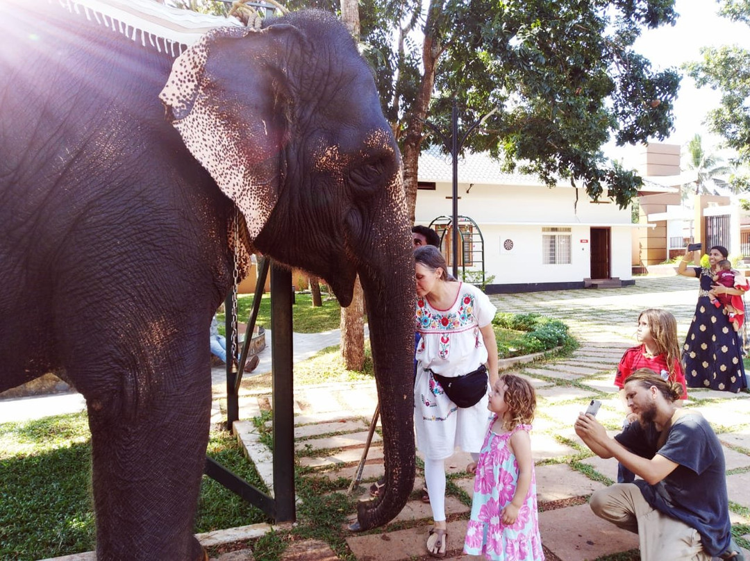 Kaveri Elephant Park-Puthenkulam必去景点