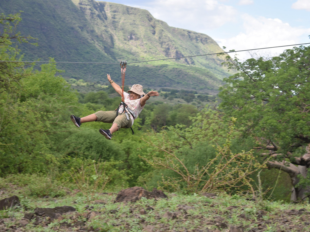 Tanzip Zipline Adventure景点图片
