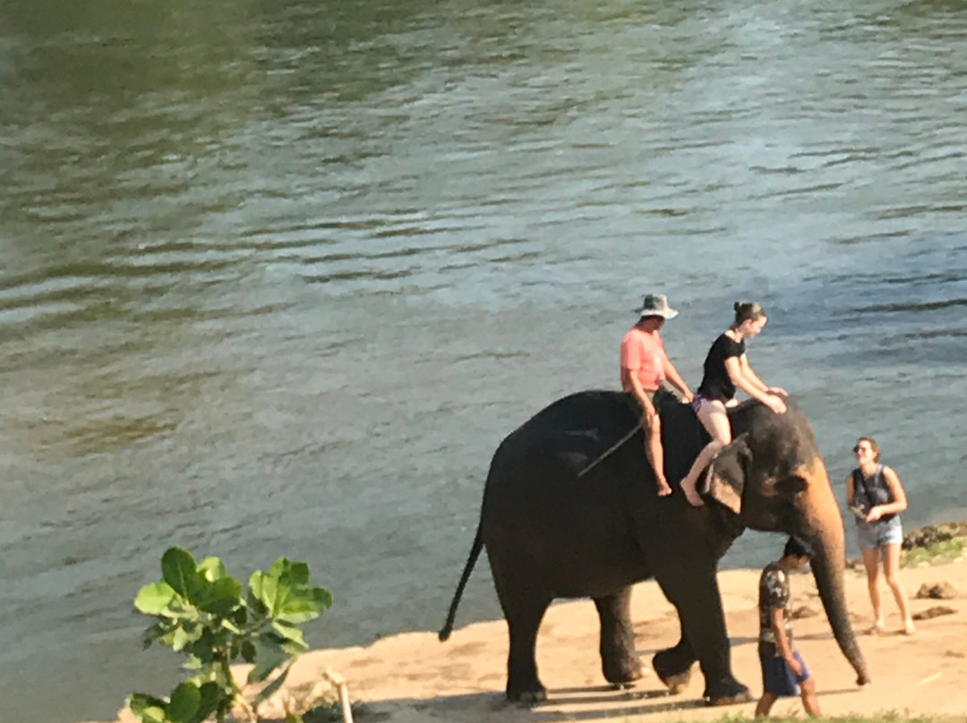 Mahawangchang Elephant Camp-北碧必去景点