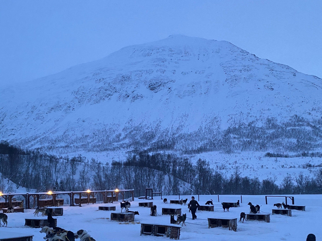 Active Tromsø景点图片