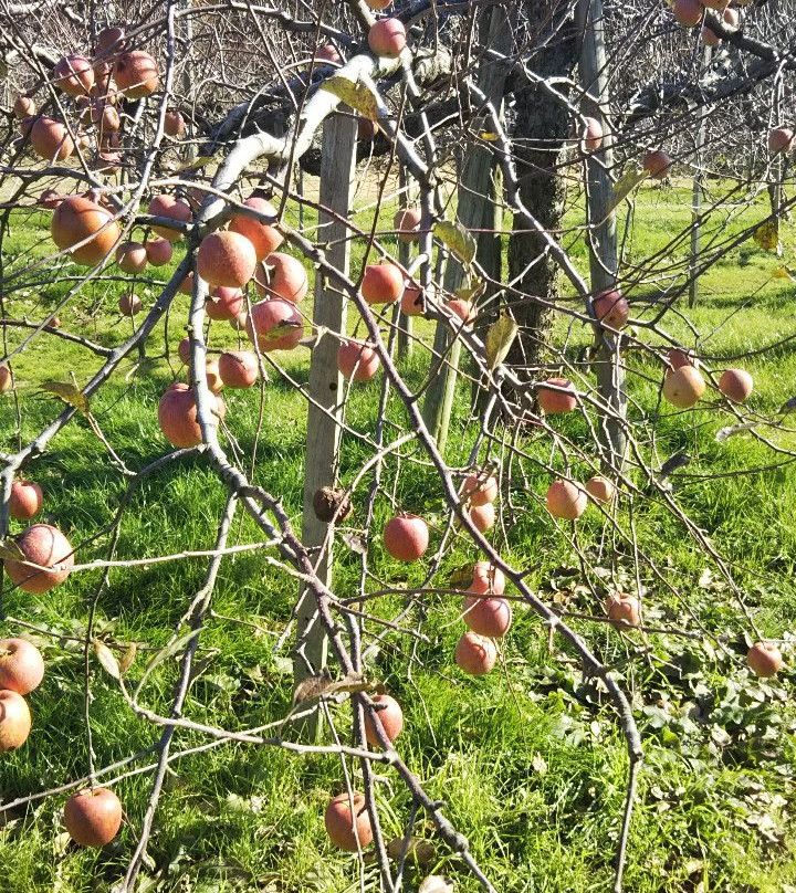 Kaga Fruit Land景点图片