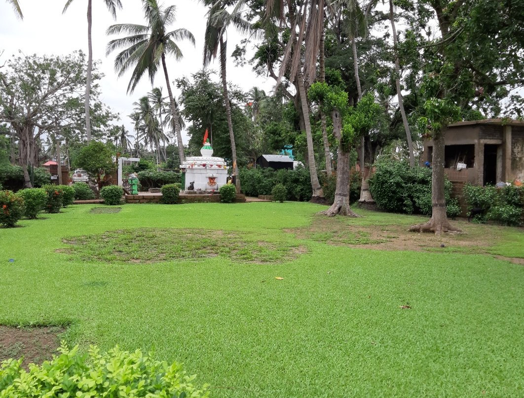 Chausathi Jogini Temple景点图片