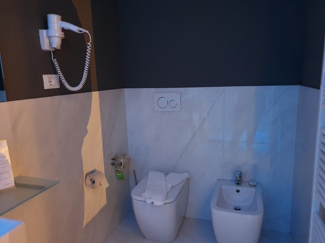 萨沃亚摄政酒店主图