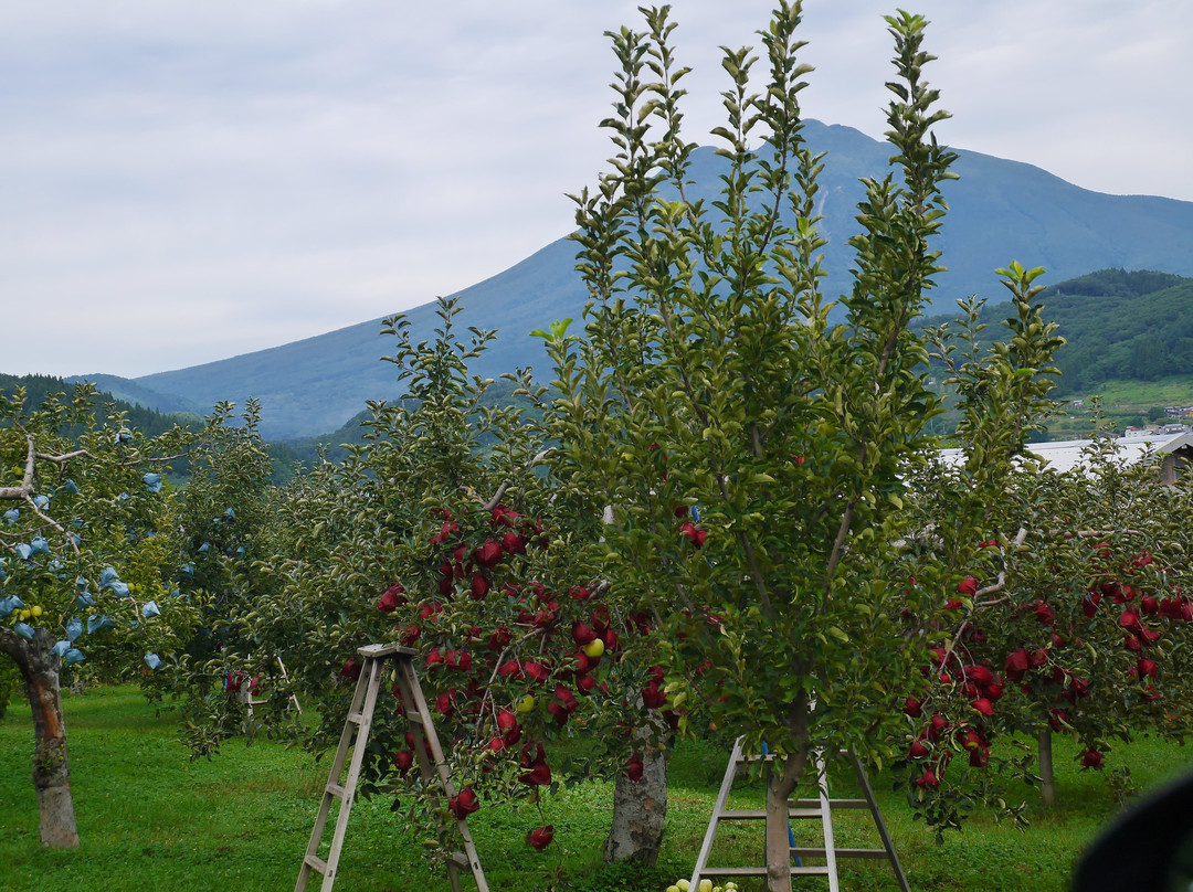 苹果路-弘前市必去景点