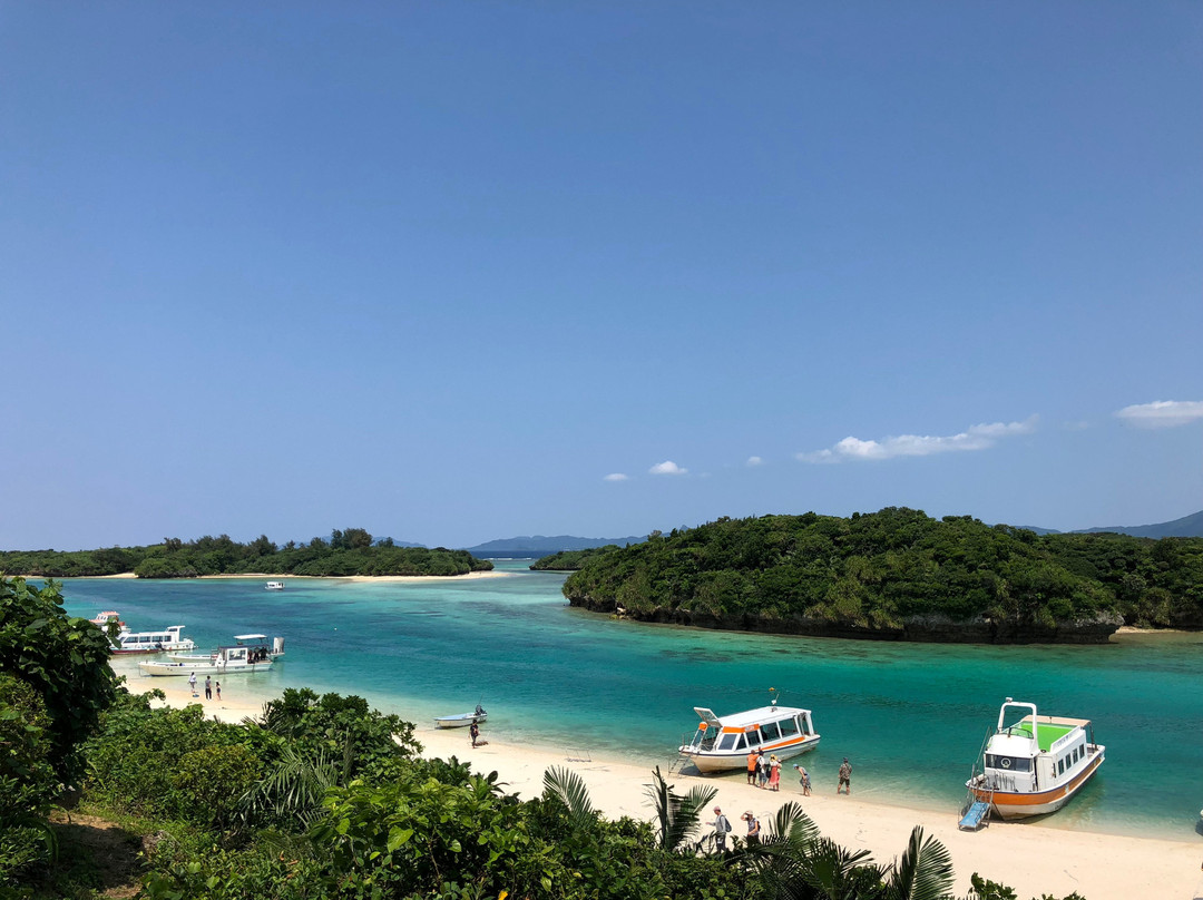 Painushima Resort Coral Fish主图