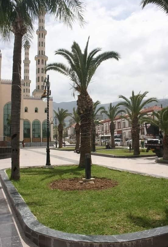 Mosquee Al Kawthar景点图片
