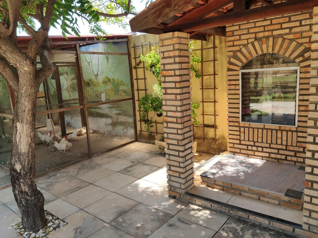 Hotel Jangadas主图