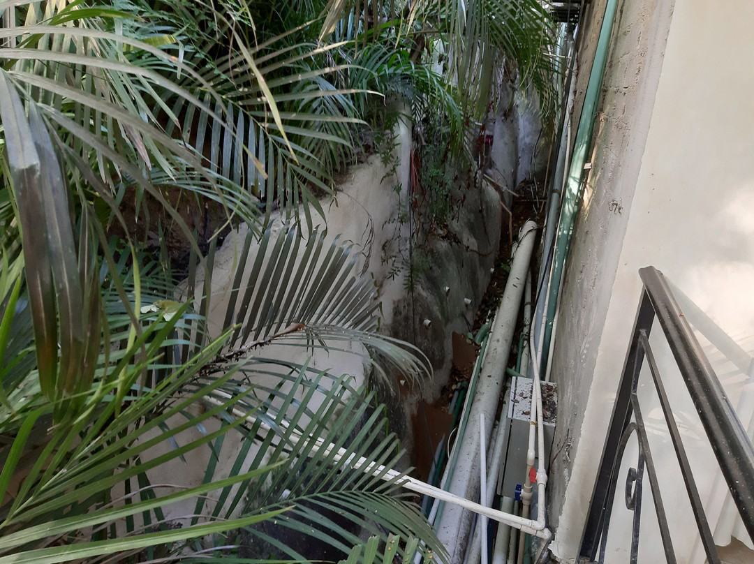 Amor Boutique Hotel主图