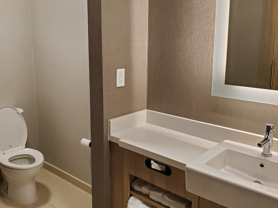 Springhill Suites by Marriott Elizabethtown主图