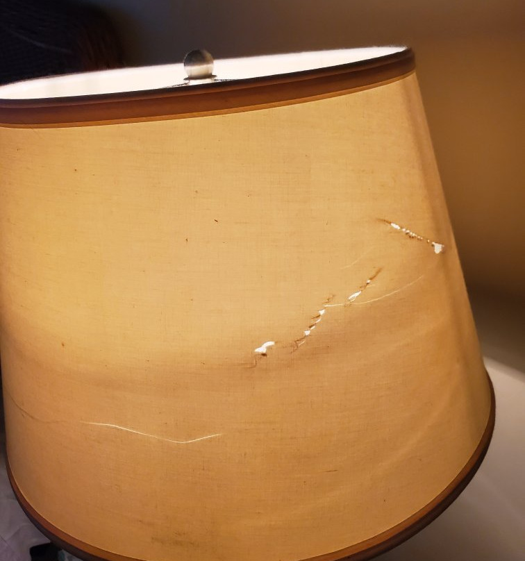 Waterway Lodge主图