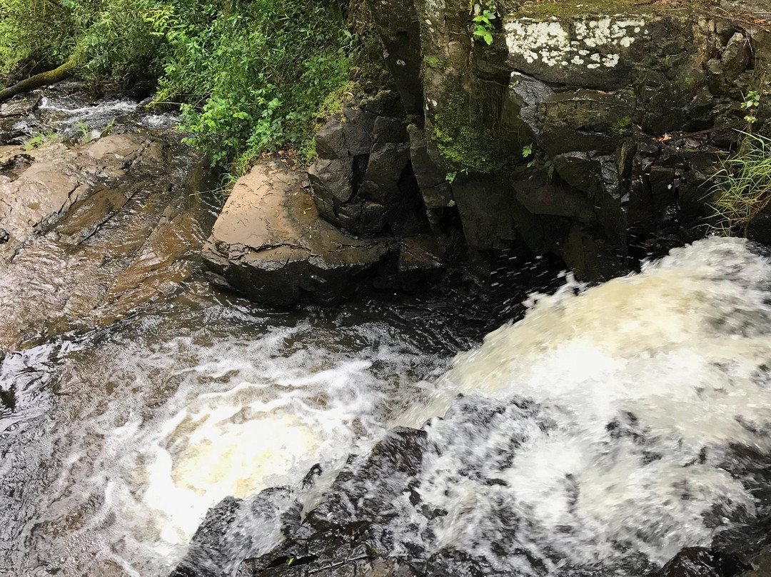 Turton Creek reserve-福斯特必去景点