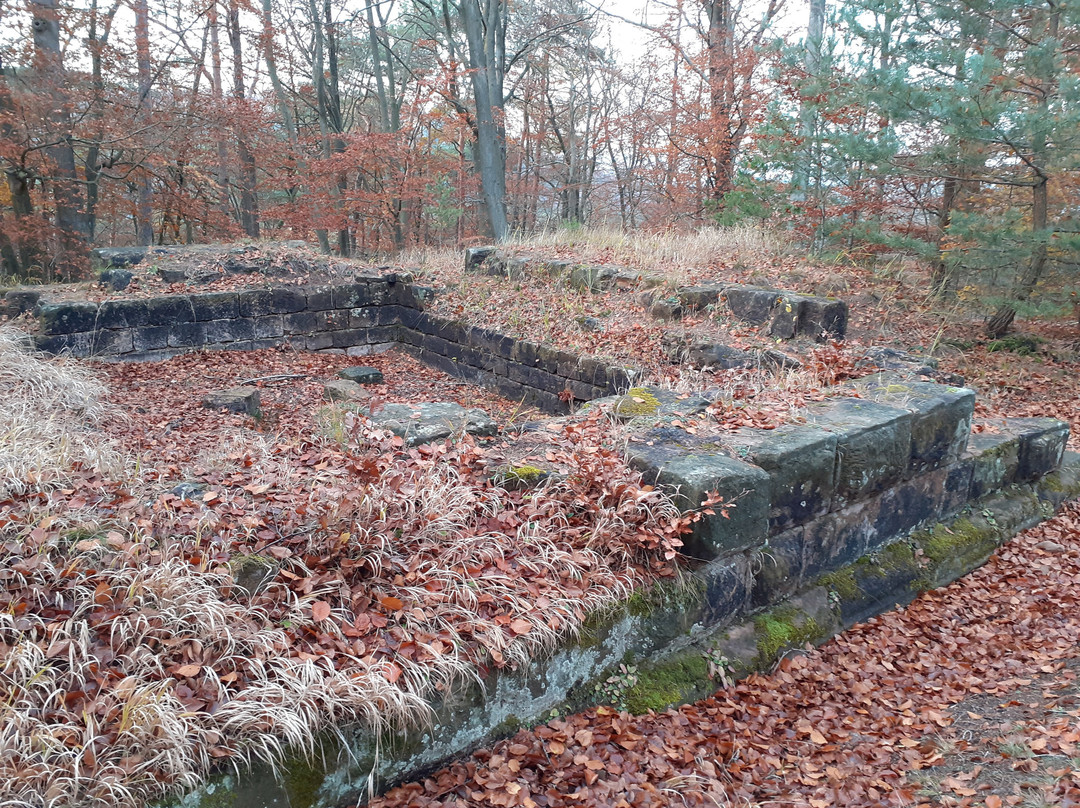 Burgruine Perlenberg-Bann必去景点