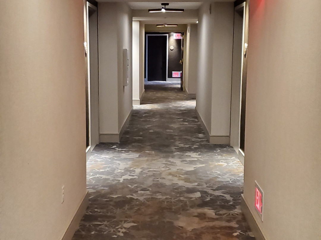 The Elizabeth Hotel, Autograph Collection主图