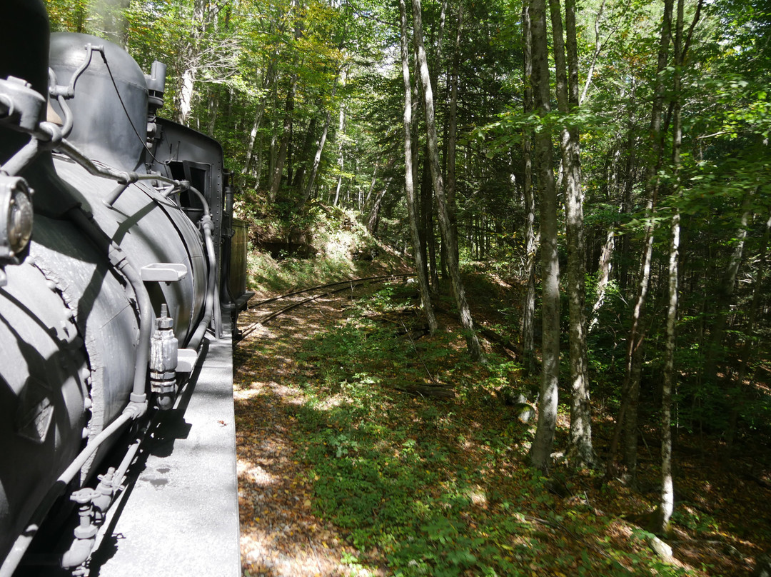 Cass Scenic Railroad State Park景点图片