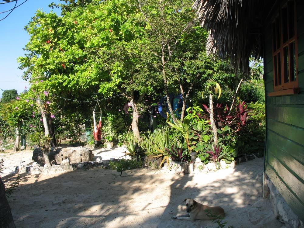 Sandy's By The Sea主图