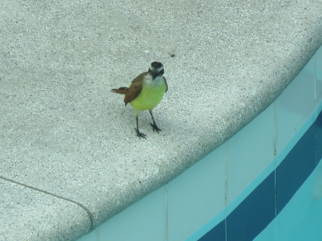 波夫拉多赫尔格达酒店主图