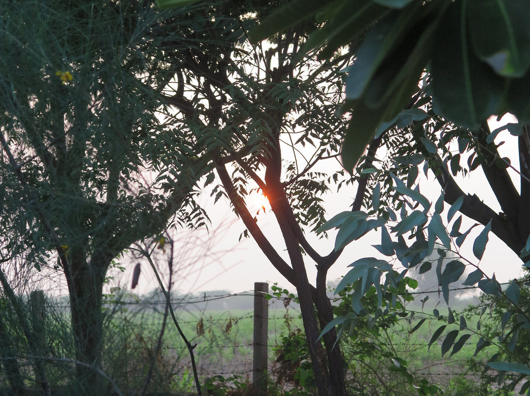 Royal Safari Camp主图