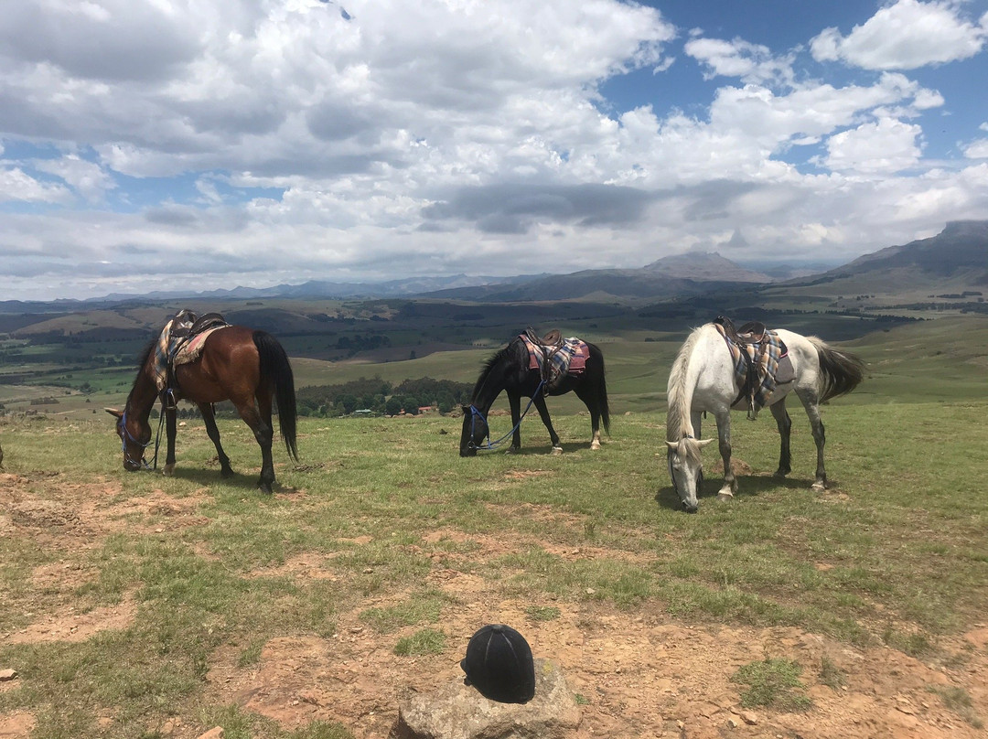Khotso Horse Trails-安德堡必去景点