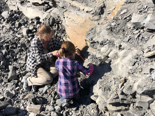 Septarianville-Clawson必去景点