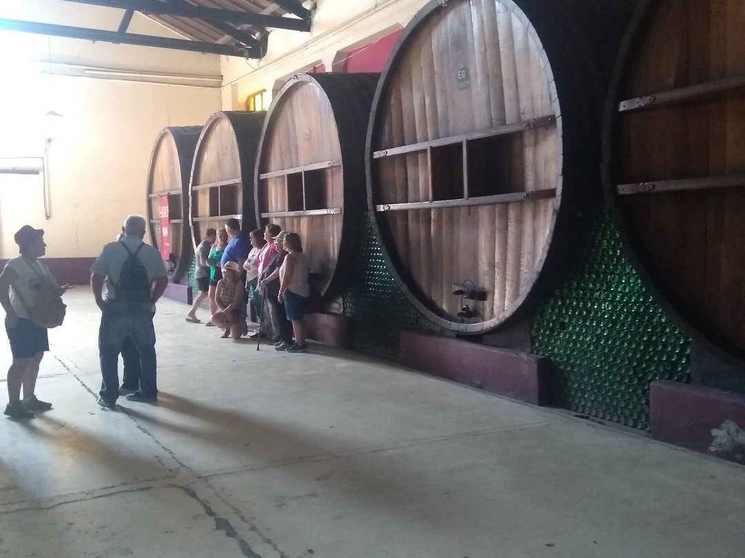 Bodegas Baudron-Maipu必去景点