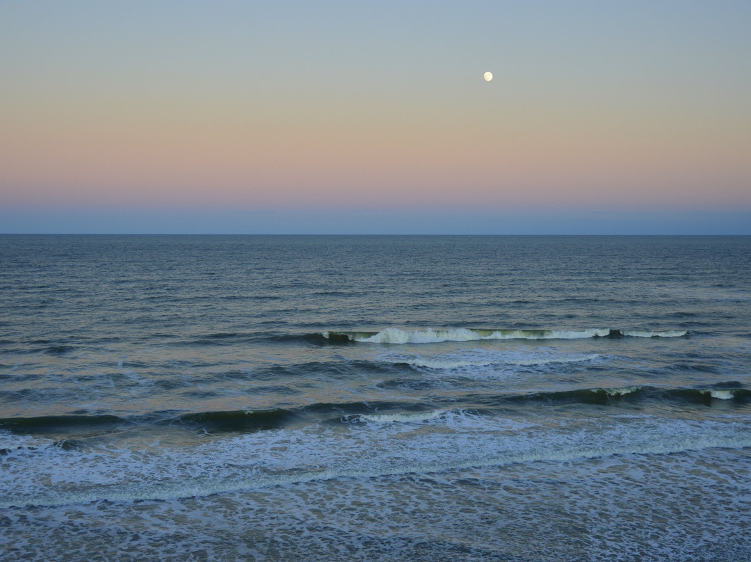 Tropical Winds Oceanfront Hotel主图